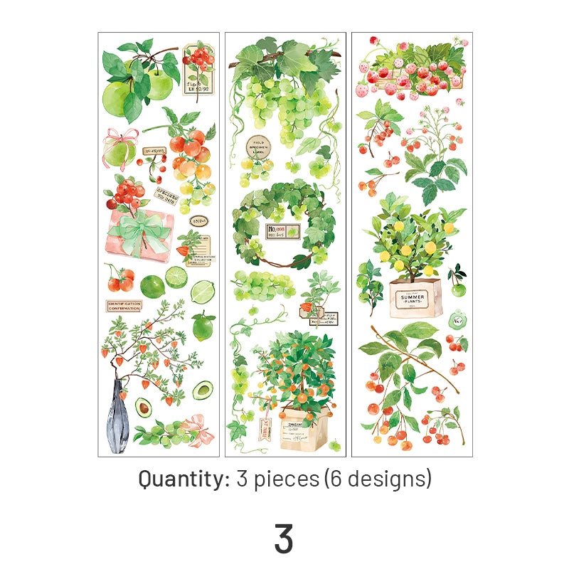 Fresh Greenery PET Stickers - Fruit, Leaf, Cactus, Plant sku-3