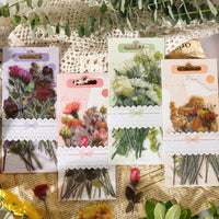 5. Complete Set (10% KORTING)
