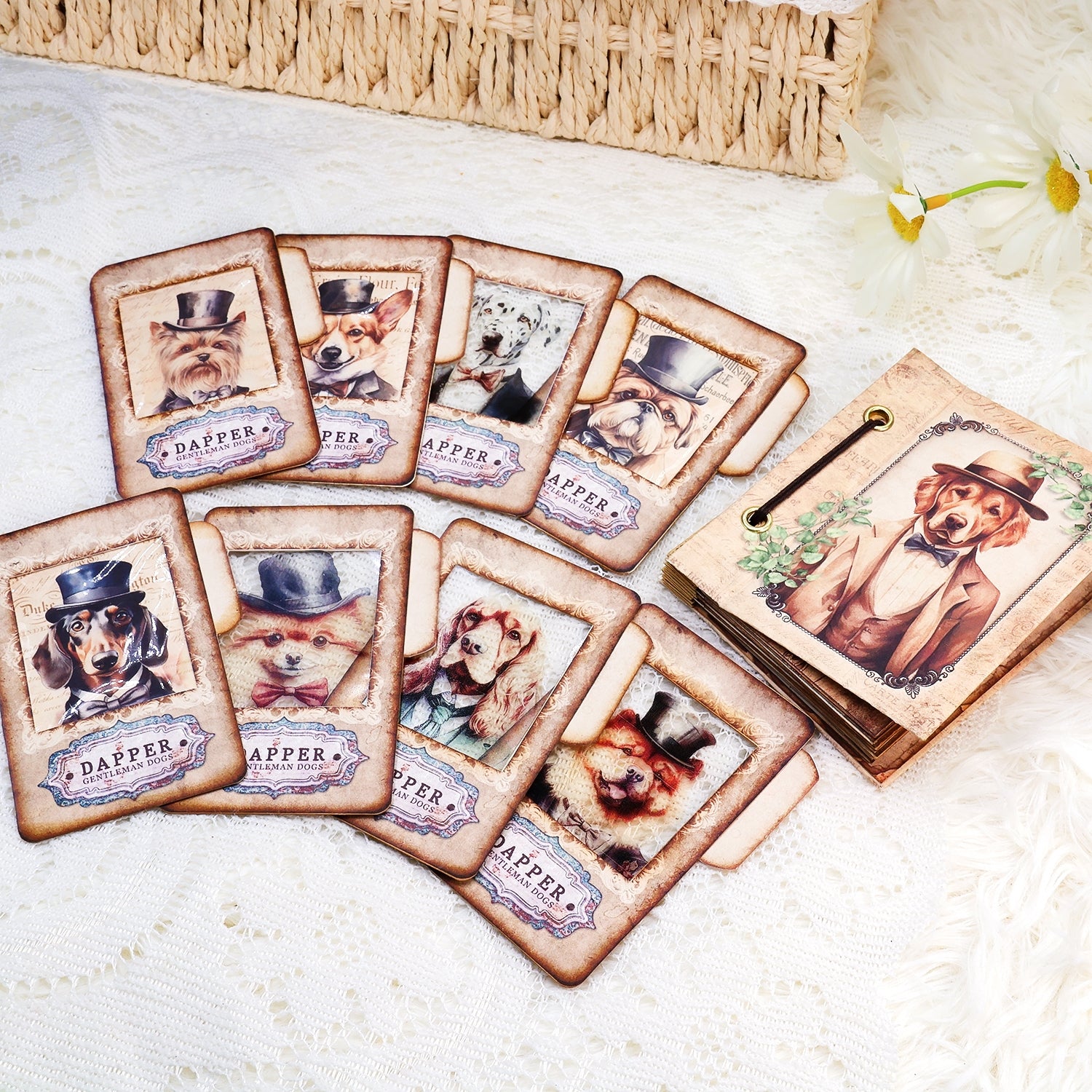 Gentleman Dogs Handmade Specimen Album Booklet Craft Kit Specimen Cards Holder Gentleman Dogs Handmade Specimen Album Booklet Craft Kit Specimen Cards Holder2