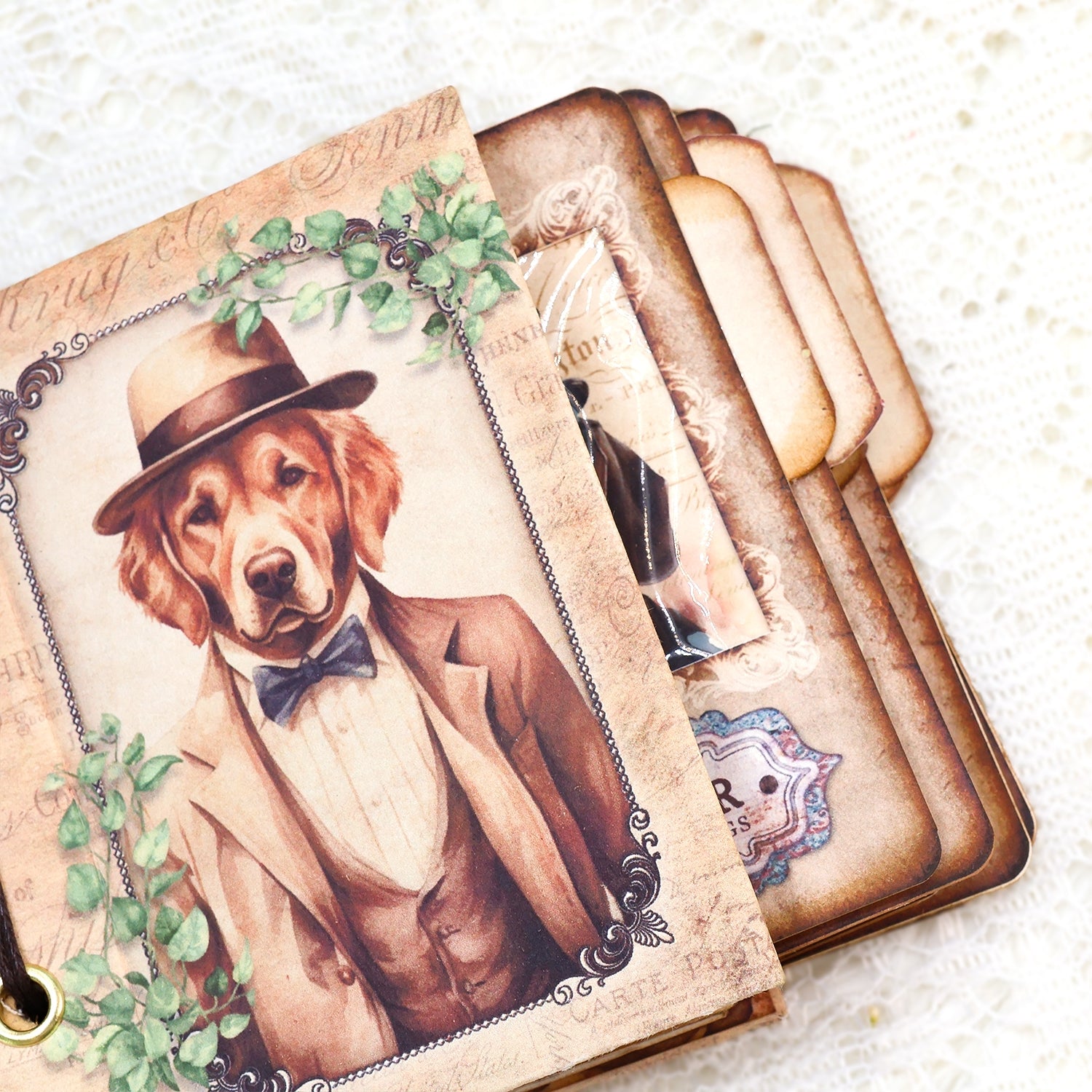 Gentleman Dogs Handmade Specimen Album Booklet Craft Kit Specimen Cards Holder Gentleman Dogs Handmade Specimen Album Booklet Craft Kit Specimen Cards Holder3