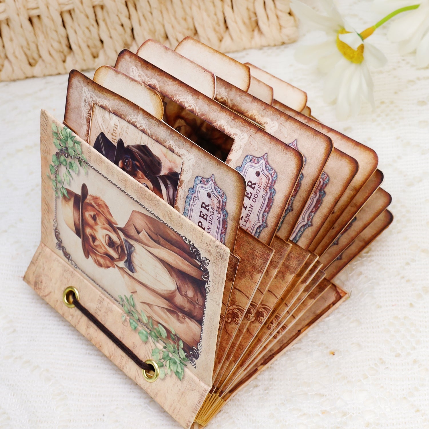 Gentleman Dogs Handmade Specimen Album Booklet Craft Kit Specimen Cards Holder Gentleman Dogs Handmade Specimen Album Booklet Craft Kit Specimen Cards Holder4