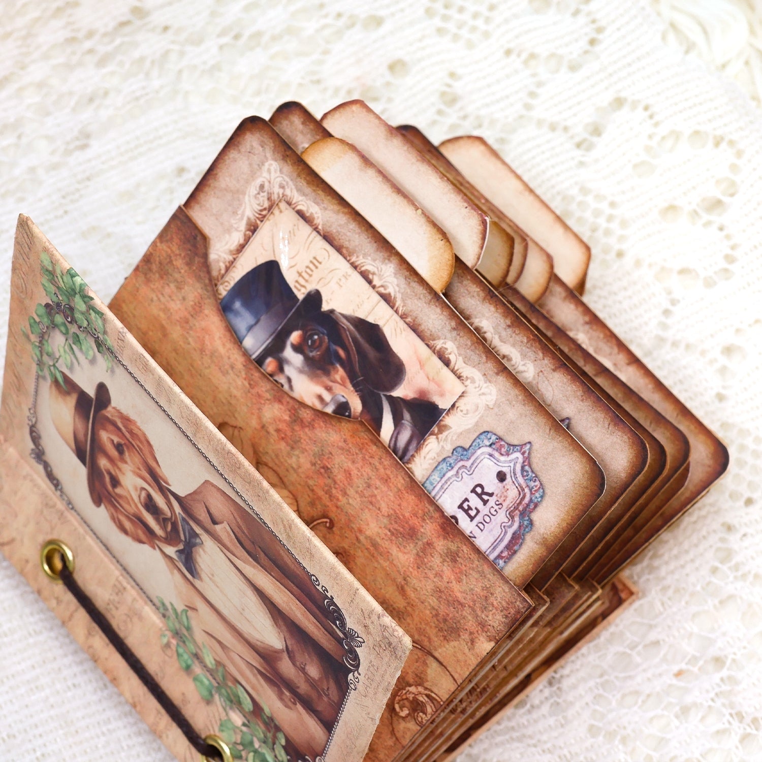 Gentleman Dogs Handmade Specimen Album Booklet Craft Kit Specimen Cards Holder Gentleman Dogs Handmade Specimen Album Booklet Craft Kit Specimen Cards Holder5