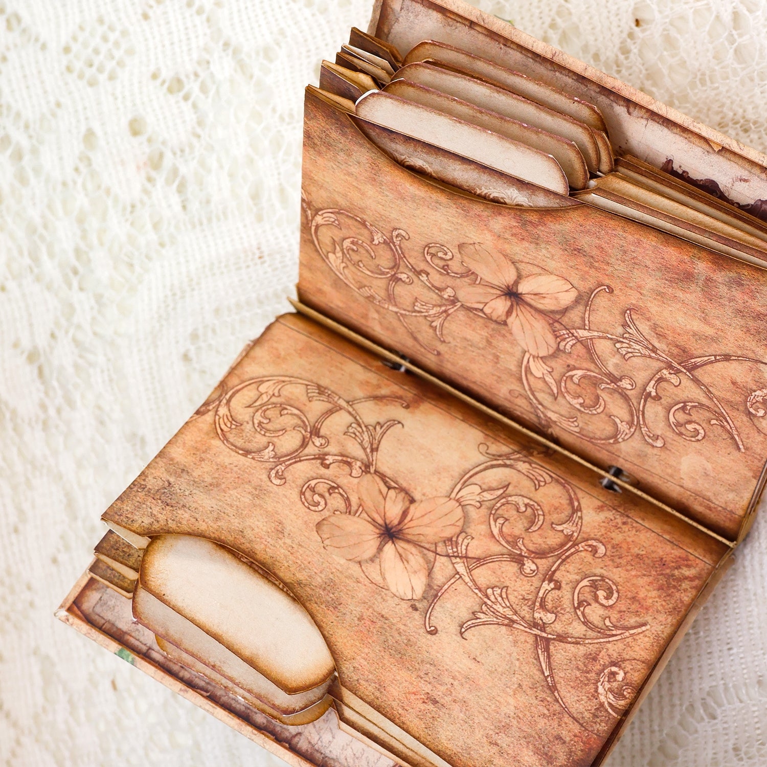 Gentleman Dogs Handmade Specimen Album Booklet Craft Kit Specimen Cards Holder Gentleman Dogs Handmade Specimen Album Booklet Craft Kit Specimen Cards Holder6