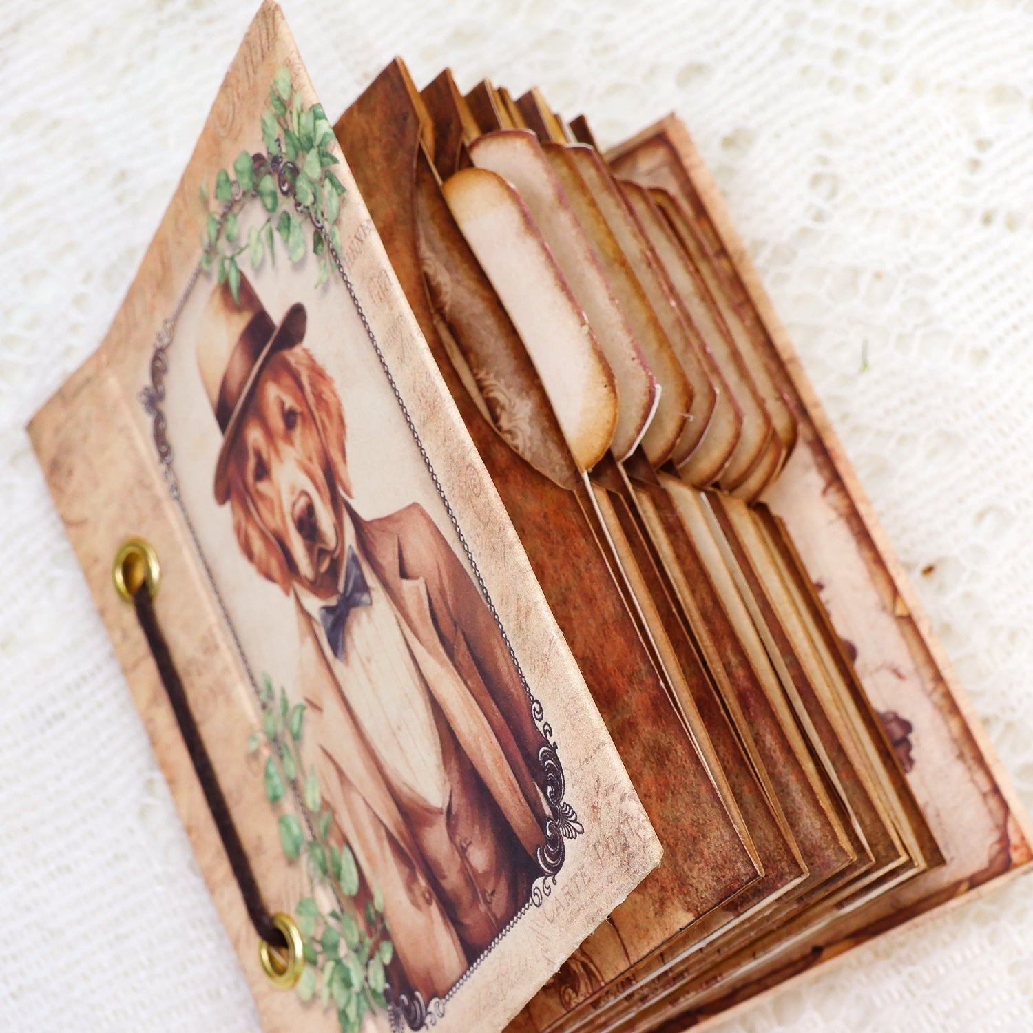Gentleman Dogs Handmade Specimen Album Booklet Craft Kit Specimen Cards Holder Gentleman Dogs Handmade Specimen Album Booklet Craft Kit Specimen Cards Holder7