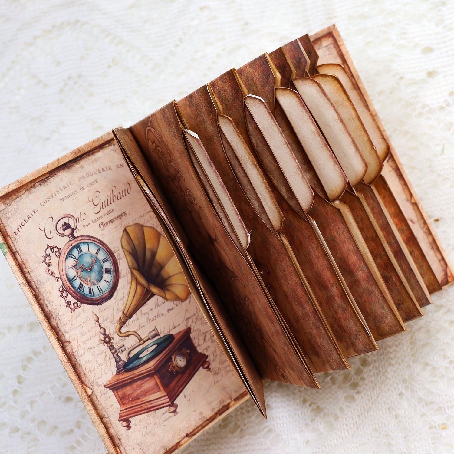 Gentleman Dogs Handmade Specimen Album Booklet Craft Kit Specimen Cards Holder Gentleman Dogs Handmade Specimen Album Booklet Craft Kit Specimen Cards Holder8