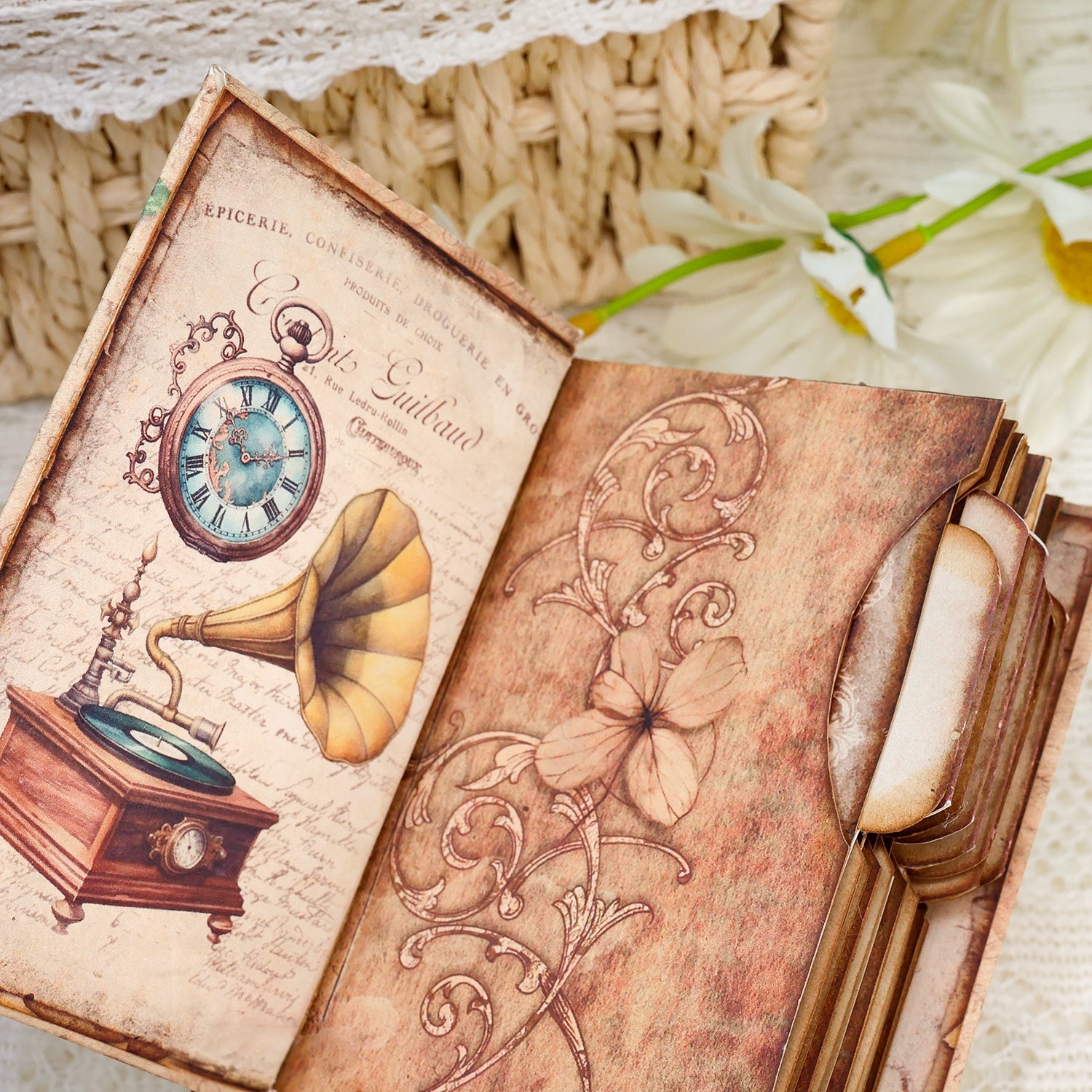 Gentleman Dogs Handmade Specimen Album Booklet Craft Kit Specimen Cards Holder Gentleman Dogs Handmade Specimen Album Booklet Craft Kit Specimen Cards Holder9