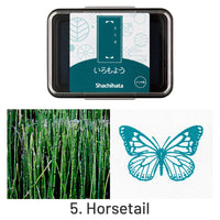 5. Horsetail