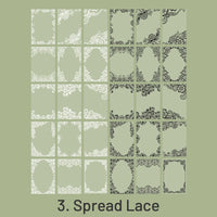 3. Spread Lace