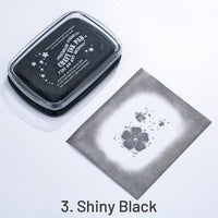 3. Shiny Black