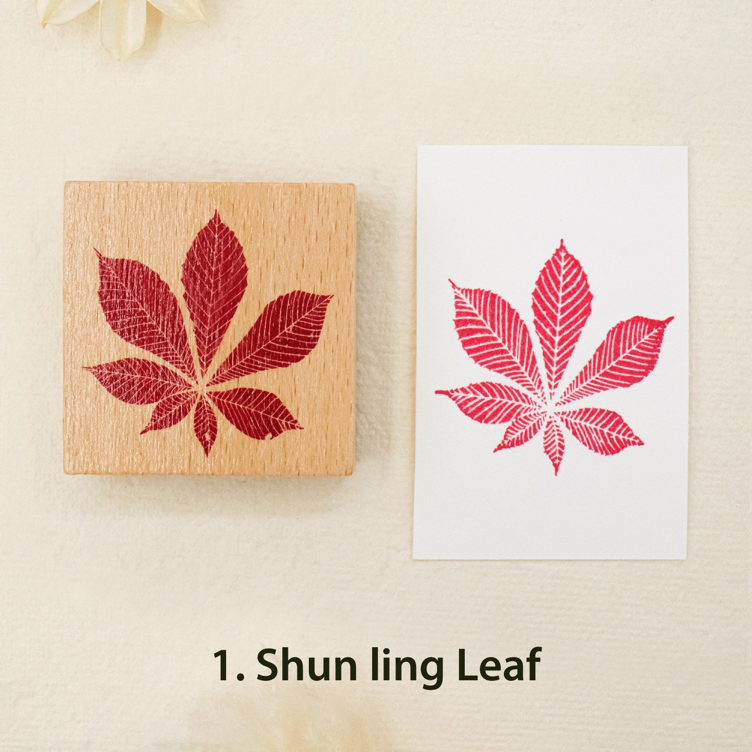Leaf Wooden Rubber Stamp ( 8 Designs) - PLUS Bonus 10 Ivory Boards 1