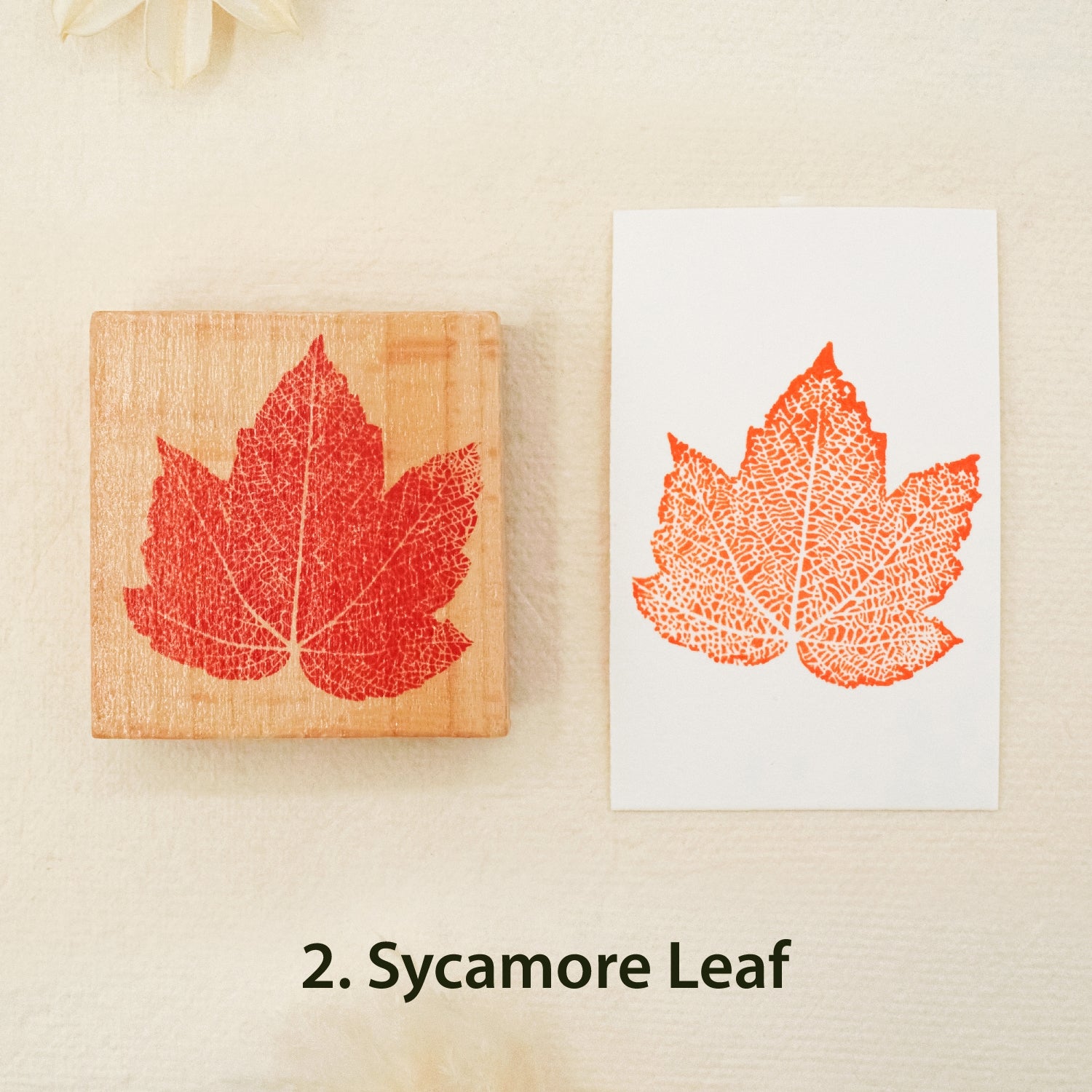 Leaf Wooden Rubber Stamp ( 8 Designs) - PLUS Bonus 10 Ivory Boards 2