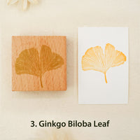 3. Ginkgo Biloba Leaf