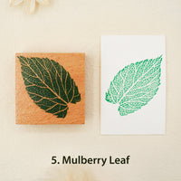 5. Mulberry Leaf