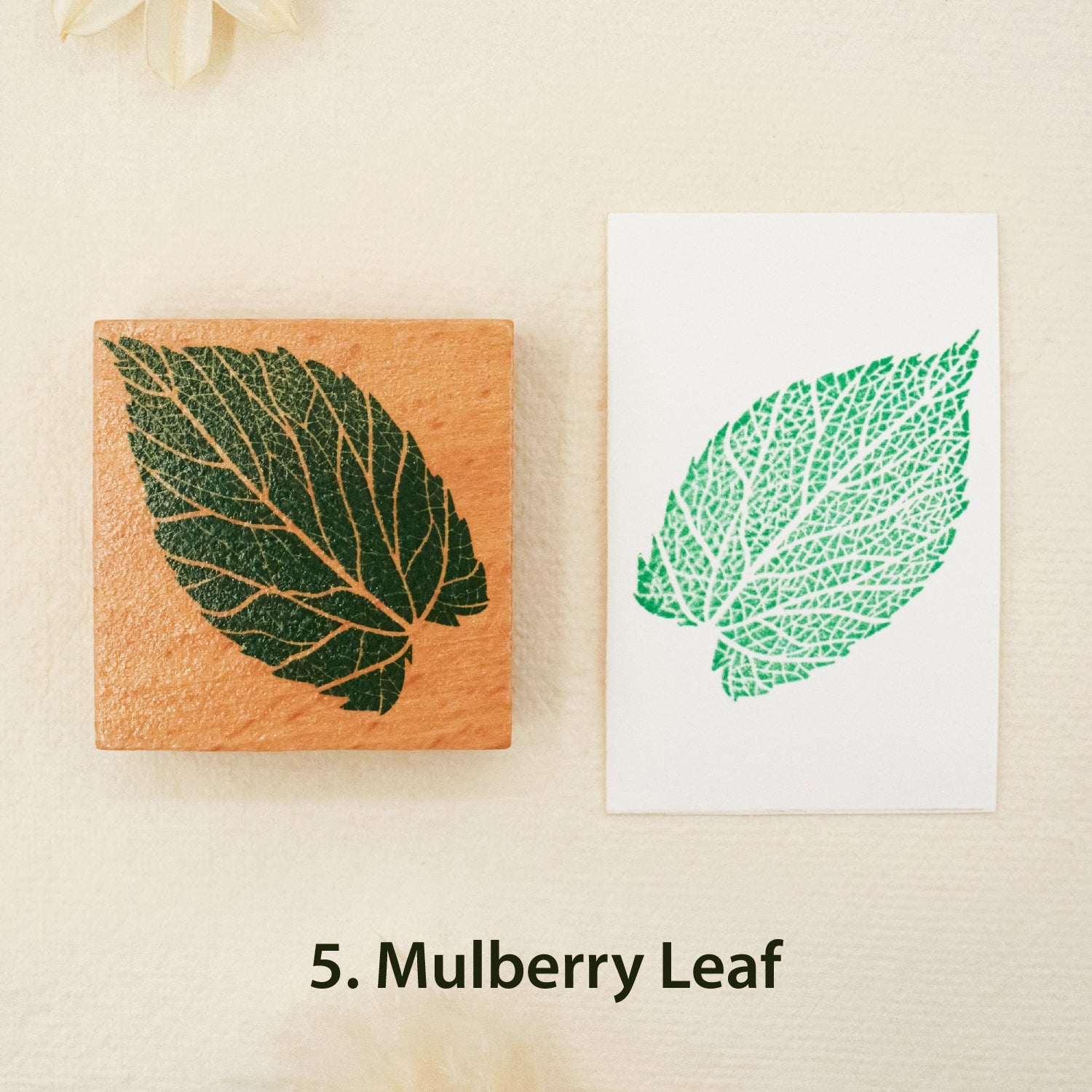 Leaf Wooden Rubber Stamp ( 8 Designs) - PLUS Bonus 10 Ivory Boards 5