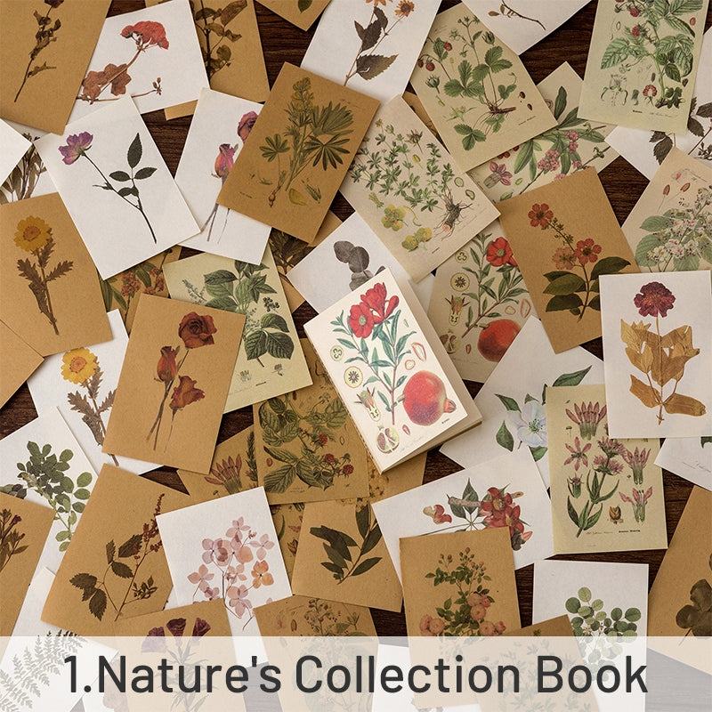 Literary DIY Decorative Paper- Butterfly Fairy Tale sku-1