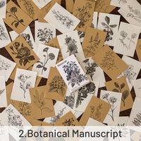 2.Botanical Manuscript