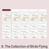 6. The Collection of Birds Flying