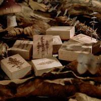 9. Complete Set (Save More)