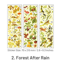 2. Forest After Rain