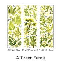 4. Green Ferns