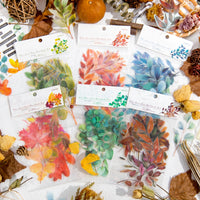 7. Complete Set (10% OFF)