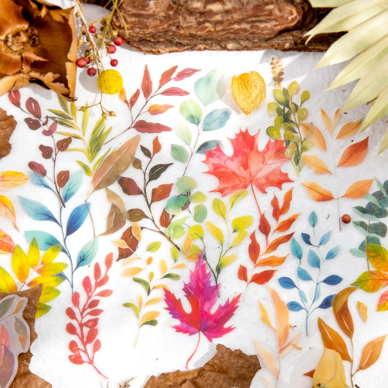 Natural Botanic Leaf Series PET Sticker b1
