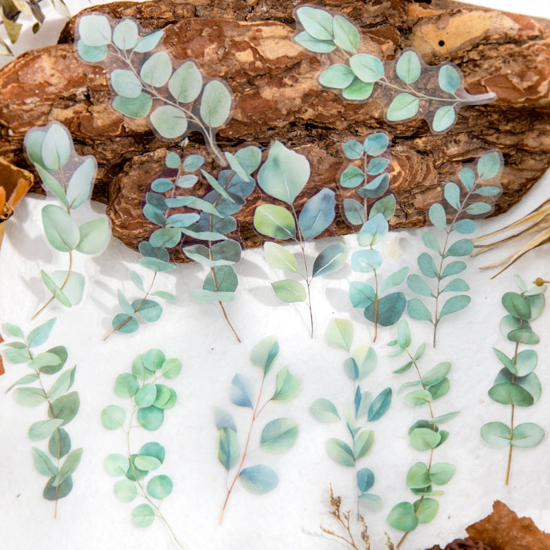 Natural Botanic Leaf Series PET Sticker b3