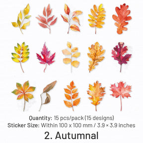 Natural Botanic Leaf Series PET Sticker sku-2