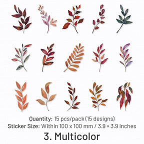 Natural Botanic Leaf Series PET Sticker sku-3