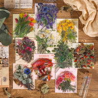 17. Complete Set (10% OFF)