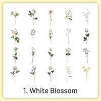 1.White Blossom