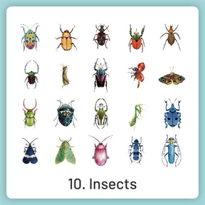 Natural History Museum Insect and Plant PVC Stickers sku-10