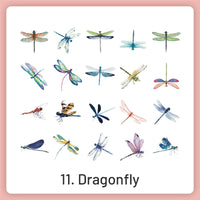 11.Dragonfly