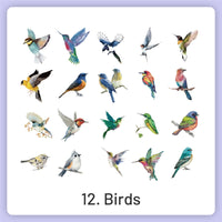 12.Birds