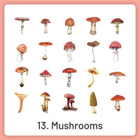 13.Mushrooms