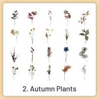 2.Autumn Plants