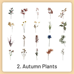 Natural History Museum Insect and Plant PVC Stickers sku-2