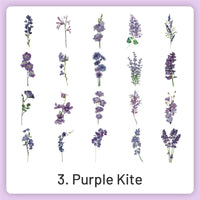 3.Purple Kite