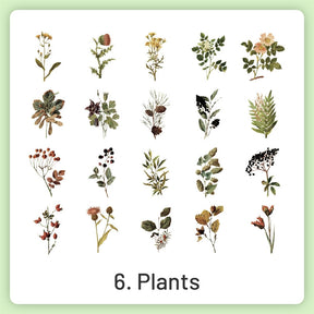 Natural History Museum Insect and Plant PVC Stickers sku-6