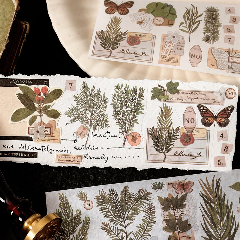Natural Landscapes Washi Stickers b