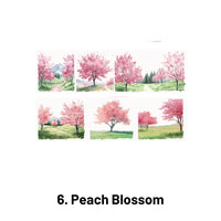 6. Peach Blossom