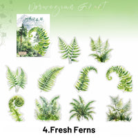 4.Fresh Ferns