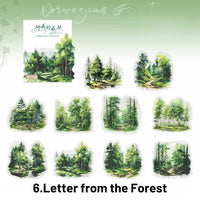 6.Letter from the Forest