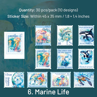 6.Marine Life