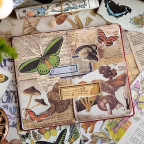 Old Memoir Scrapbook Paper - Manuscript, Butterfly, Mushroom b6