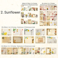2. Sunflower
