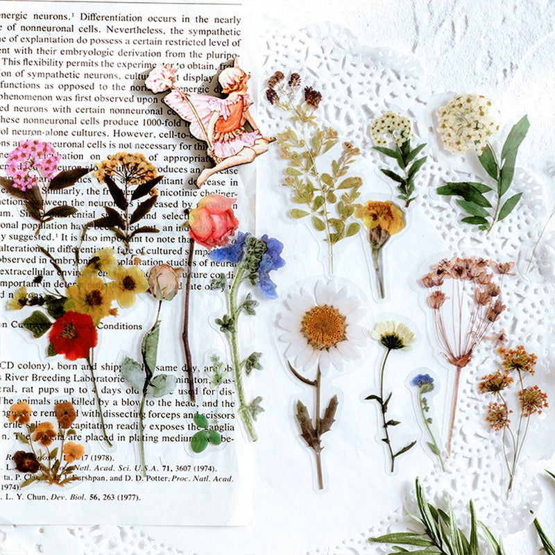 PET Decorative Sticker - Leaf, Petal, Stationery, Mushroom, Ribbon b2