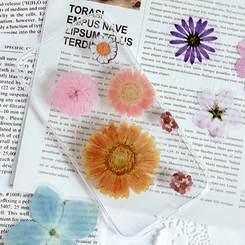 PET Decorative Sticker - Leaf, Petal, Stationery, Mushroom, Ribbon b4