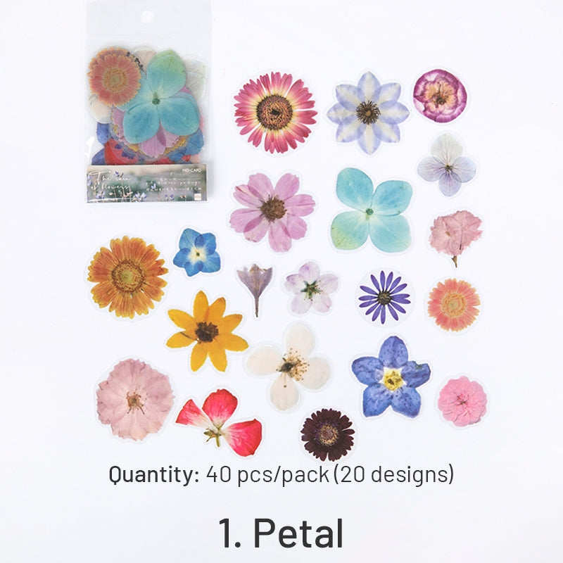 PET Decorative Sticker - Leaf, Petal, Stationery, Mushroom, Ribbon sku-1