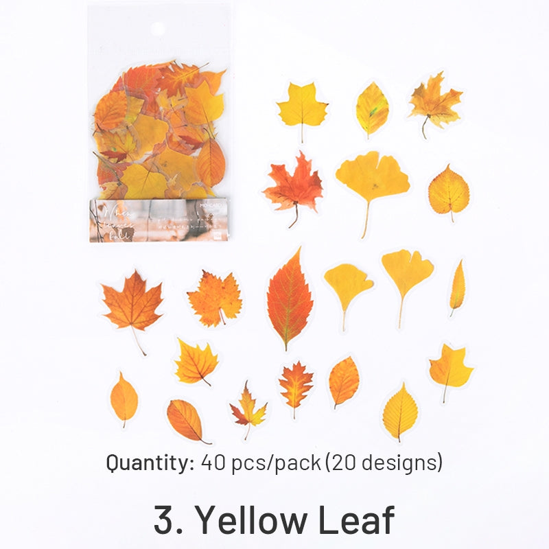 PET Decorative Sticker - Leaf, Petal, Stationery, Mushroom, Ribbon sku-3